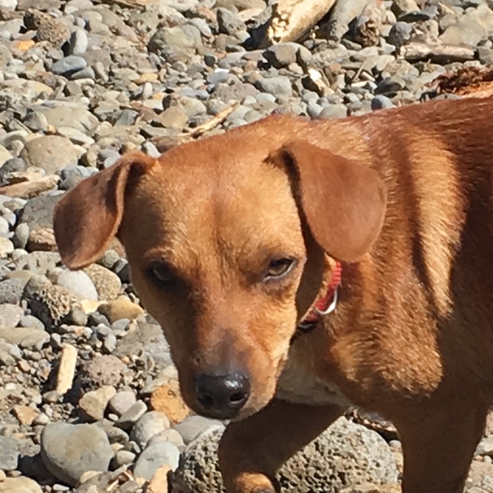 Meet your Posher, Malia